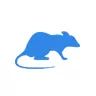 Уничтожение крыс в Ликино-Дулёво