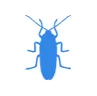 Уничтожение тараканов в Ликино-Дулёво